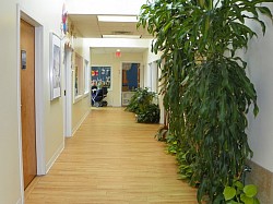 Skylights add to our bright, garden-lined hallways.